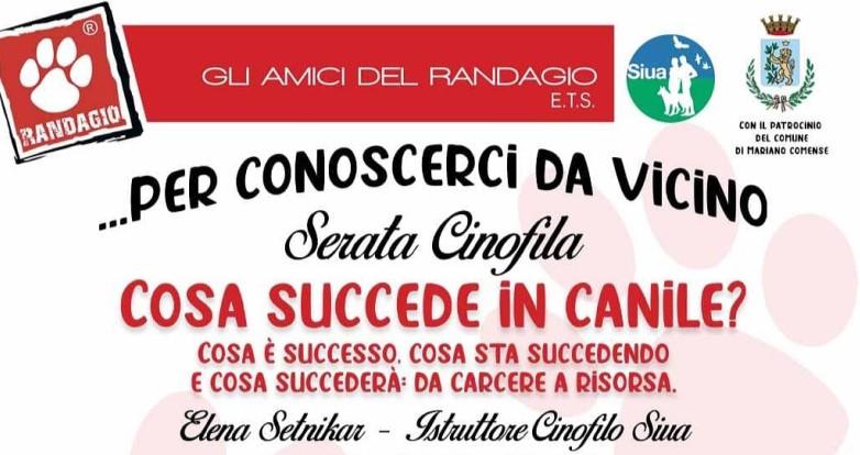 Cosa succede in canile? - Serata Cinofila